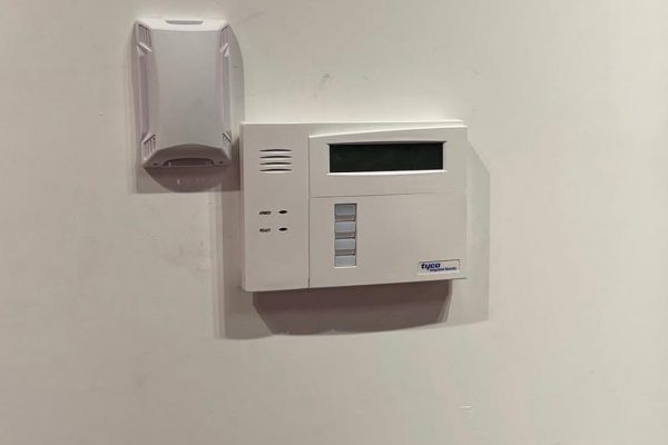 t5